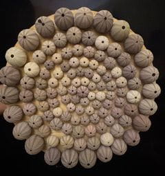 Image for artist Freya Edwards